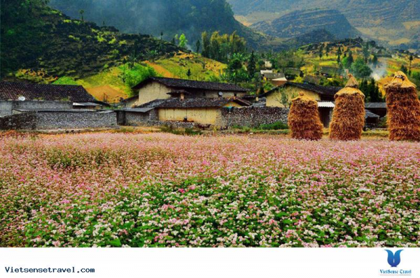 8D7N Ha Noi - Sapa – Bac Ha – Lam Thuong – Ha giang – Ha noi