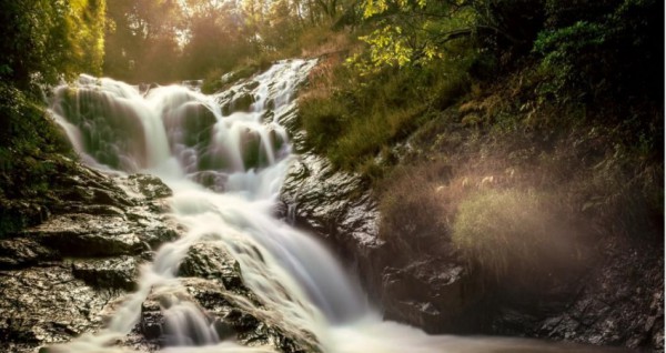 2D1N (Nha Trang - Da Lat)