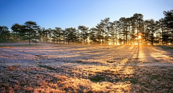 6D5N Nha Trang Arrival - Da Lat Departure