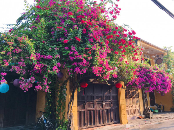Lantern Making - Basket Boat - Hoi An Ancient Town