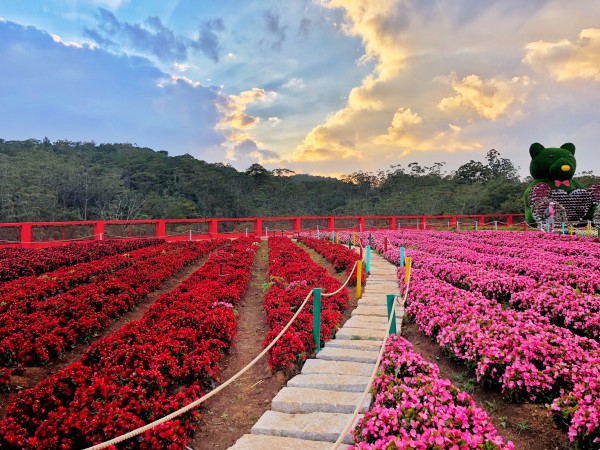 5D4N Da lat - Mui ne - Da lat